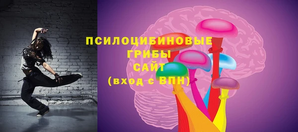 apvp Зеленодольск