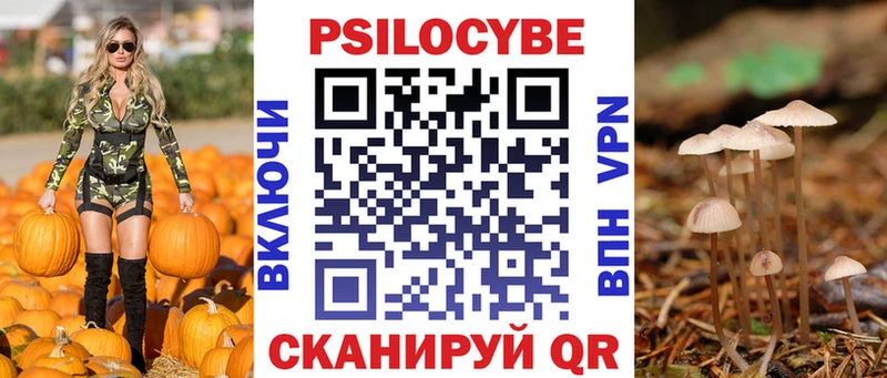 Псилоцибиновые грибы Psilocybe kraken ссылки Калачинск