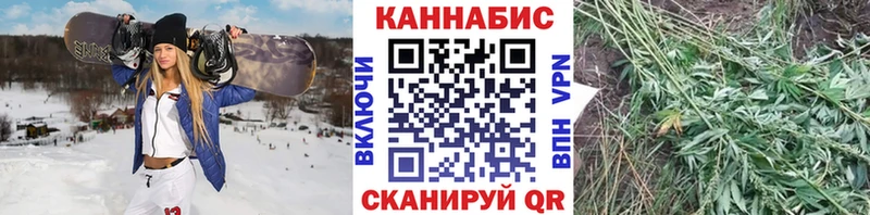 Бошки Шишки конопля  Калачинск 